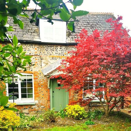 Historic, Traditional & Spacious Wiltshire Cottage Shrewton Екстер'єр фото