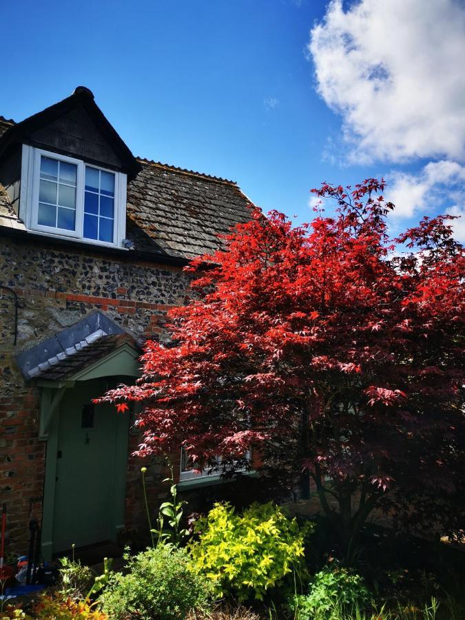 Historic, Traditional & Spacious Wiltshire Cottage Shrewton Екстер'єр фото